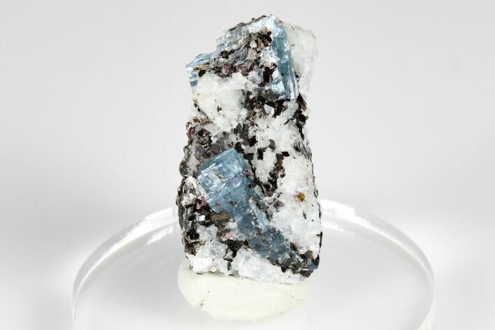 Blue Kyanite & Garnet in Biotite-Quartz Schist - Russia #178929